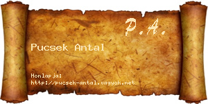 Pucsek Antal névjegykártya
